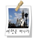 사천케이블카자연휴양림(사천) 이미지