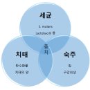 이(e)-밝은치과의원 이미지