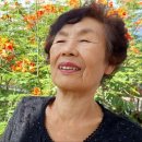 김예중농장 네이버블로그