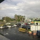 순복음총회신학교 이미지