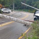 부산서 SUV 충돌 사고로 전봇대 2기 넘어져…193가구 정전 이미지