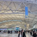 1801 | 제주항공 오키나와 7C1801편 탑승후기✈️ 무료수하물무게 /제주항공 탑승후기/ 좌석넓이정보 🍊