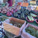 화원시장 주차장 | 대구 달성군 화원시장 후기