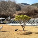 오롯이;독 이미지