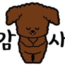 슈가립스 이미지