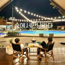 서울 근교 수영장 글램핑 카라반 포천 숲에서만난바다