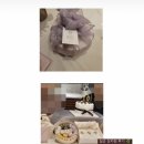 다옴떡공방 | (제주/아라동/다옴떡공방) 백일, 첫돌, 환갑, 칠순 상차림 후기 모음 2