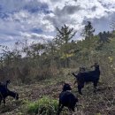 팔미농장 이미지