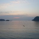 부산해양경찰서
명지파출소 이미지