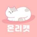고양이분양 온리캣 이미지