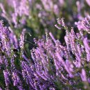 제이복싱클럽 이미지