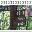 장태산휴양림 이미지