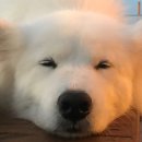 빨간머리몽게스트하우스