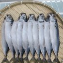 목포네모