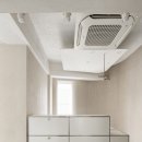 케어덴 동물치과&내과병원 이미지