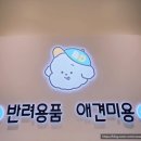 브라이트 독 이미지