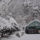 횡성송어횟집 이미지