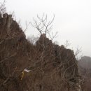 장안휴게소 이미지