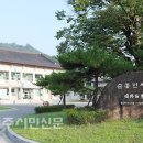 읍내1리 티스토리