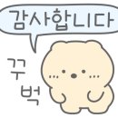 정든닭 이미지