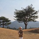 소노펠리체 컨트리클럽 델피노 | 강원도 속초 소노펠리체 델피노CC 라운드 후기, 봄 라운딩 솔직 리뷰 &amp; 공략 팁까지!