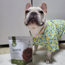 하이비오 이미지