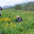 금강온천 이미지