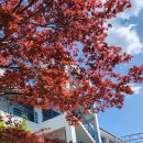 38마린리조트 이미지