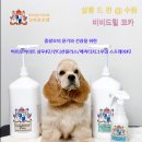 살롱드퀸