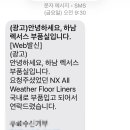 엘앤티렉서스안