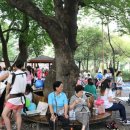 마산회원도서관 내서분관 네이버블로그