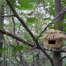 운주산 등산로 이미지