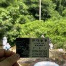 시고개농원 | 서울 경기 인천 근교 취사가 가능한 계곡 강화도 현대농원(25년 7월 방문 후기)