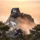금수강산 Daum카페
