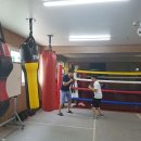 연산다이어트복싱체육관 이미지