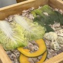 교동파크여관 | 6월 일상 : 일월 수목원 / 케이티위즈파크 첫 야구 직관 / 일본 큐슈 여행