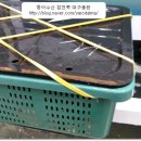 청구아파트삼거리 이미지