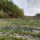 강가농장 이미지