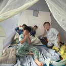 경희대 진 태권도 이미지