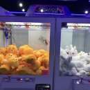 돌아이 뽑기방 이미지