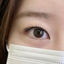 도안휴먼시아6단지센트럴시티경로당 | 대전봉명동 속눈썹샵 미플렉스 블랙틴팅펌 후기