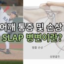 슬랩메디 이미지