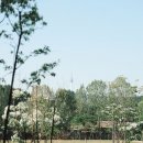용산가족공원 웨딩 스냅 촬영 후기 | 자연스럽게 걷고 웃으며 남긴 커플데이트