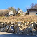 파인넛펜션 | [ 경기도 가평 북면 ] 가평 파인넛 펜션 나들이 내돈내산 후기~!!