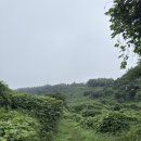 세븐일레븐 제주문송로점 | 제주 중문 히든클리프호텔 '내돈내산' 솔직 후기 - 디럭스 더블, 가든뷰, 인피니티 풀, 산책로, 수영장