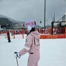 홍천리조텔 | 비발디파크 렌탈샵 간지렌탈샵 회사 스트레스 풀러 다녀온 솔직 후기