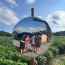 채문 | 2025년 8월 3주 : 청주의 (채문씨 부모님네)별장여행