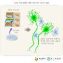 손산 카카오 검색결과