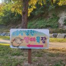 법도목장 이미지