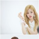 폰쌈 Daum카페